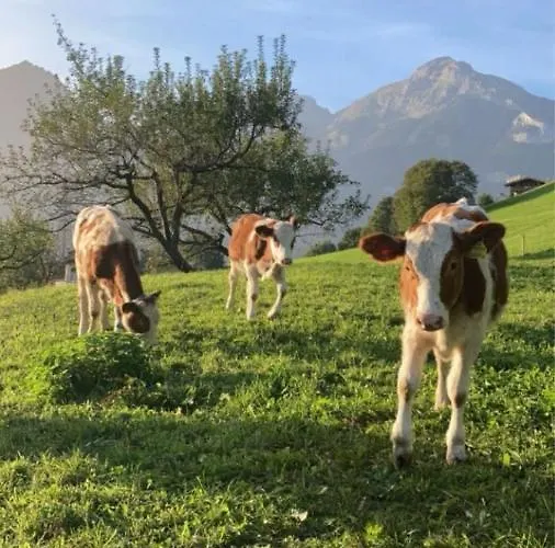 Zillerbruggerhof Séjour à la ferme Bruck am Ziller
