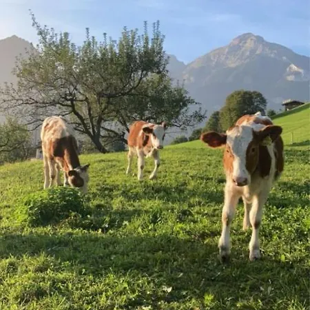 Zillerbruggerhof 팜스테이 Bruck am Ziller